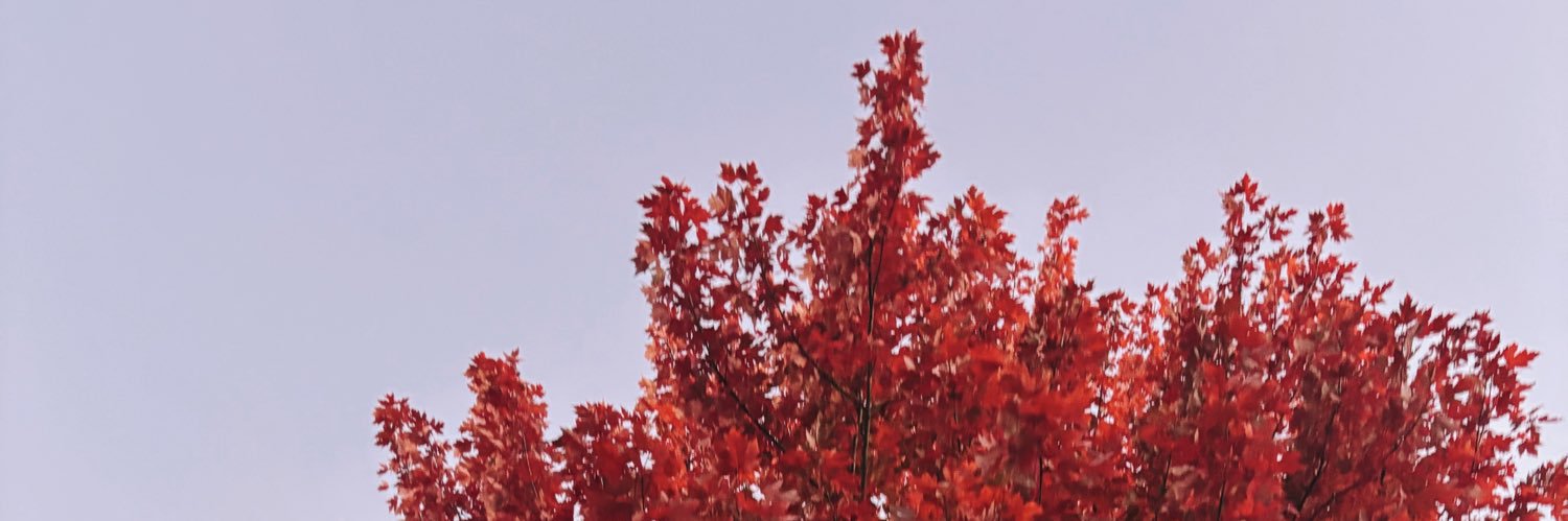 milesjakeharris's profile banner image