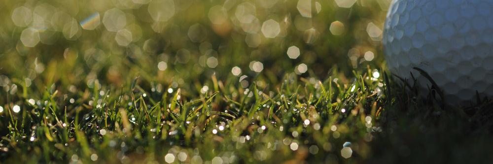 Southwest PGA banner