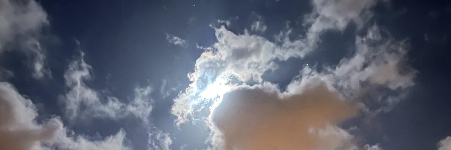 sltmeth's profile banner image