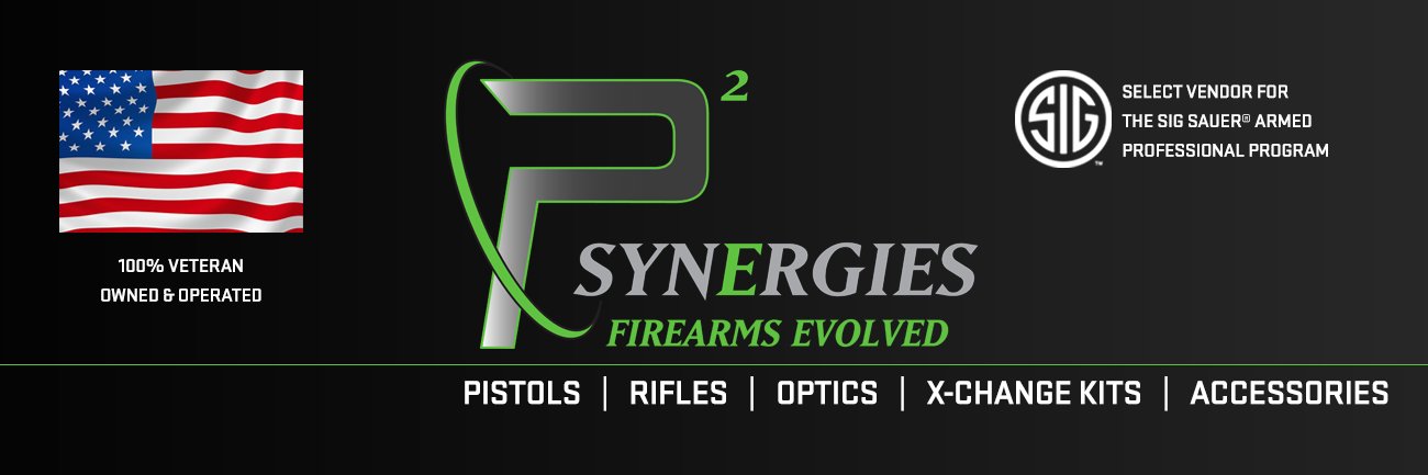 P2Synergies's profile banner image
