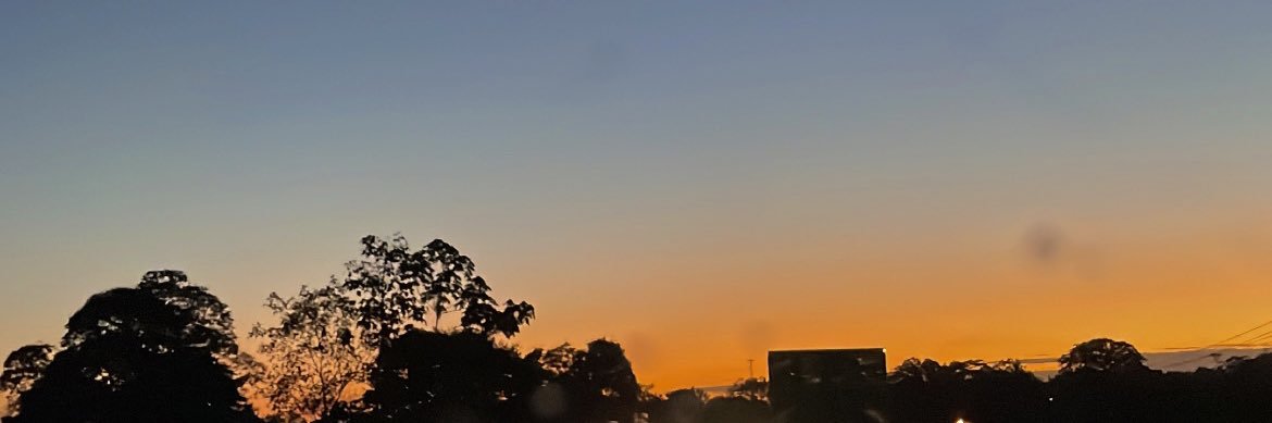 pazzcalvo's profile banner image