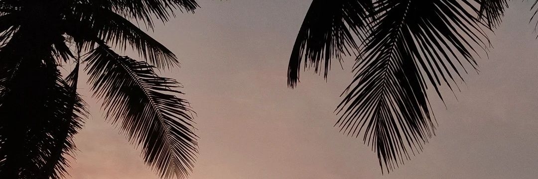 6_Clem's profile banner image