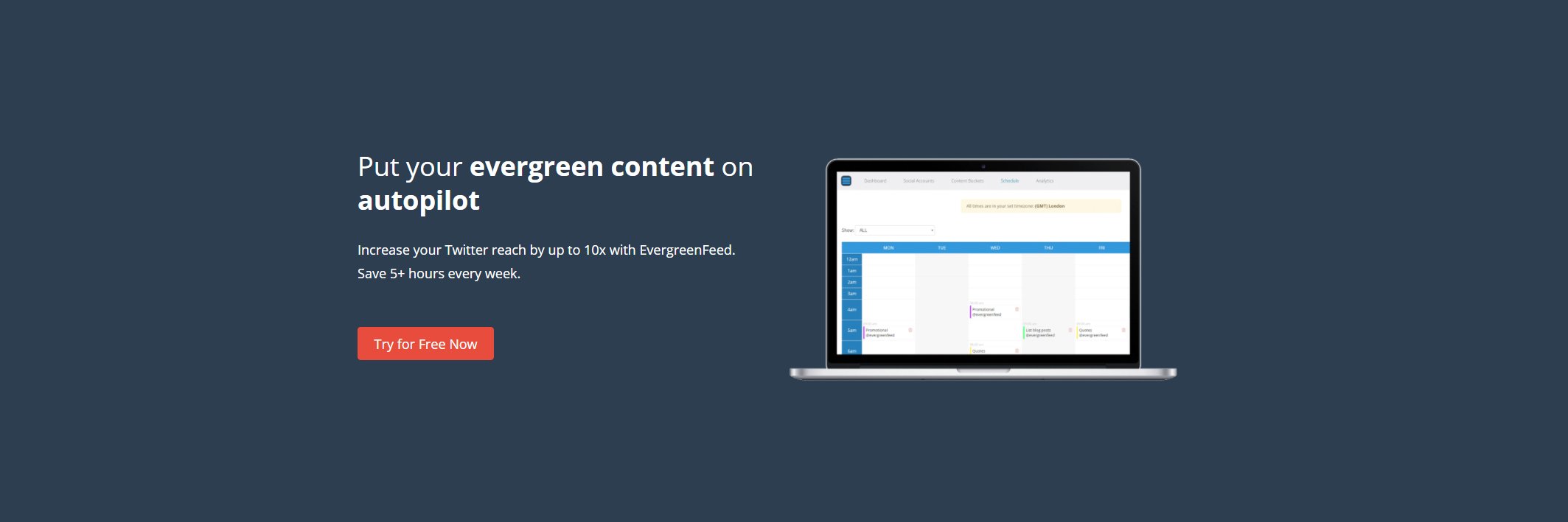Evergreenfeed banner
