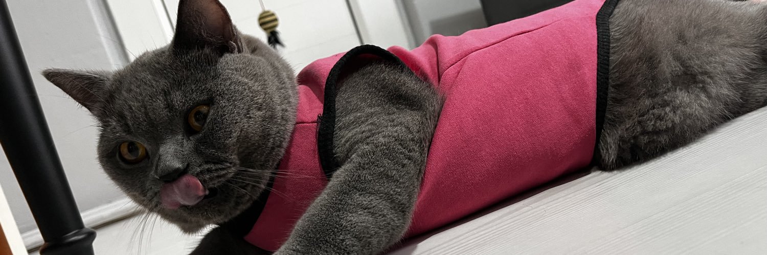 nilayyklcc's profile banner image