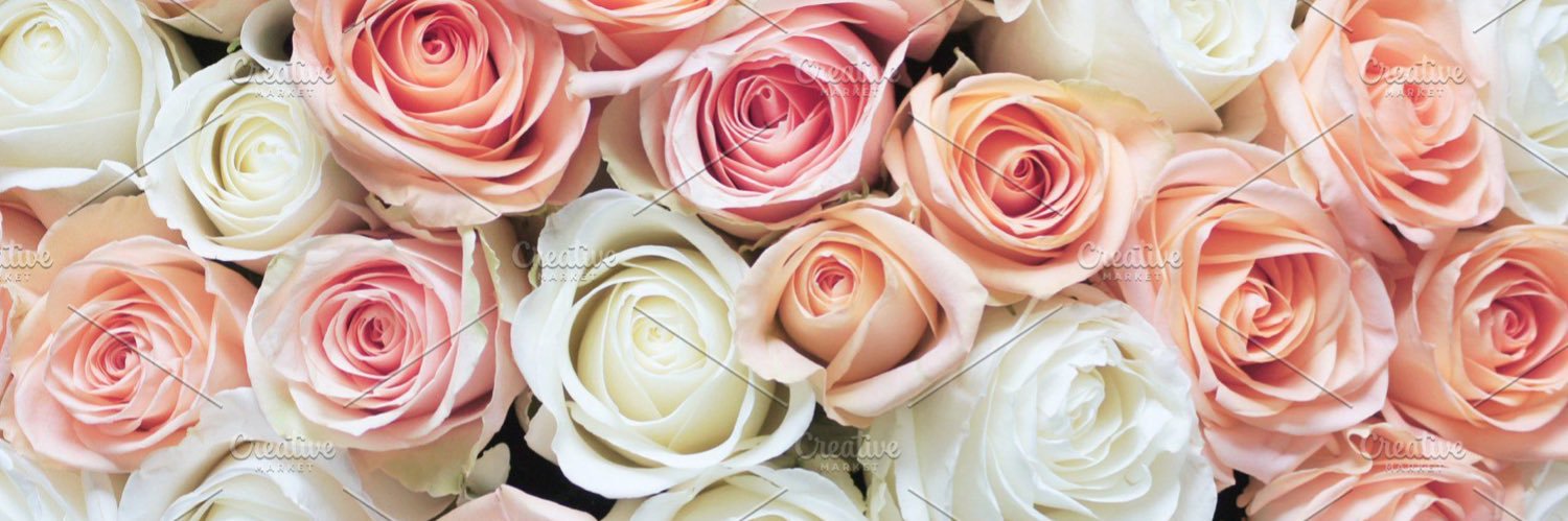 Rose Elizabeth💛 banner