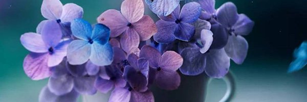 MzNikki6372 Profile Banner