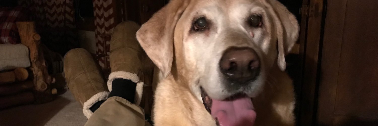 JKennnell's profile banner image