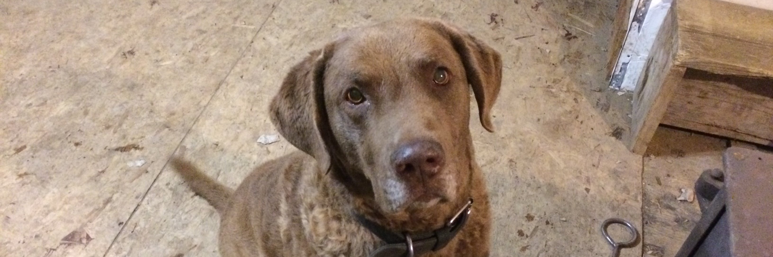 grantR ™️ banner