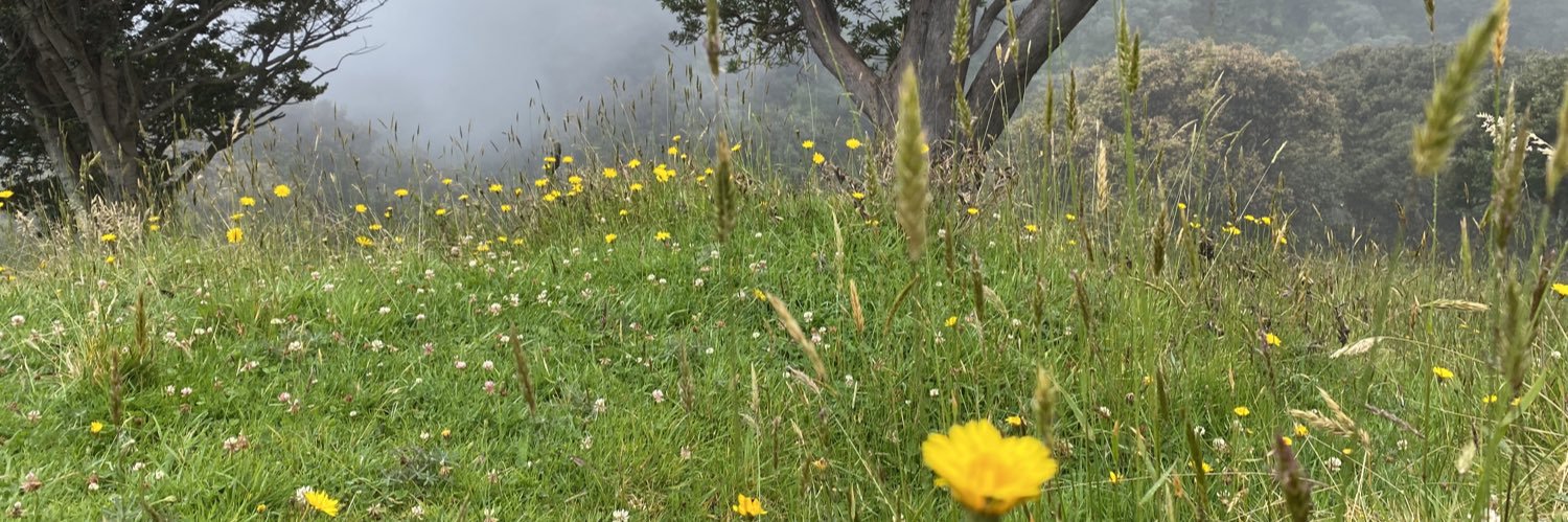 Ignacio Borge banner