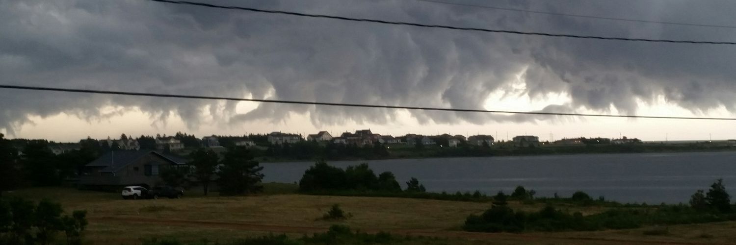 John Wedderburn banner