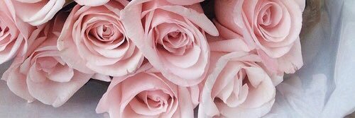 MarCheaM's profile banner image