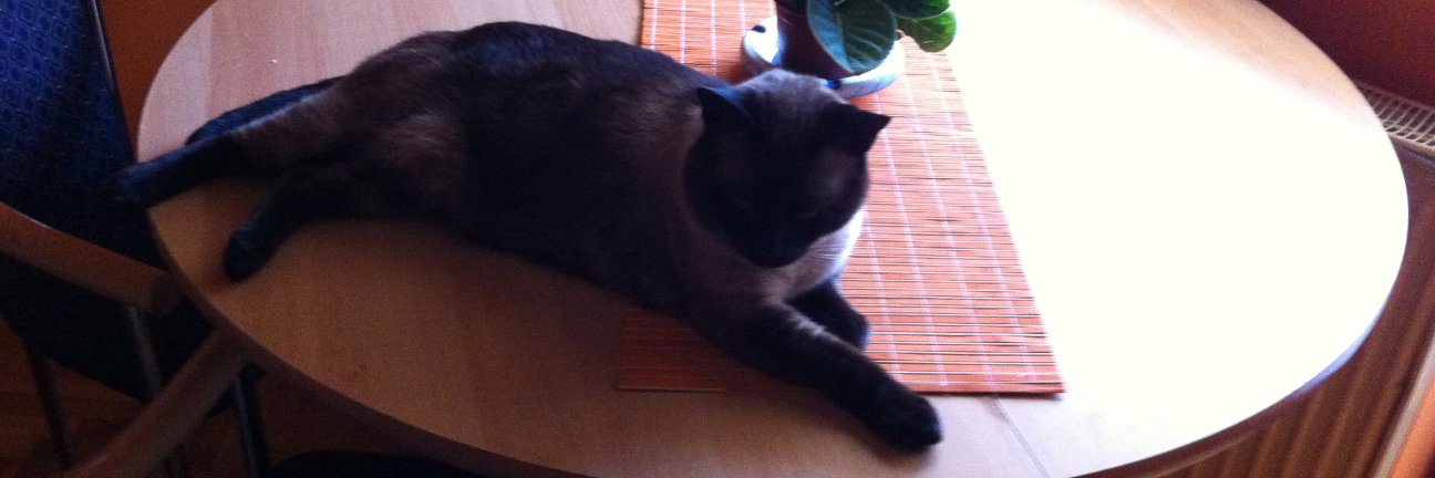 Svetlana Andjelkovic banner