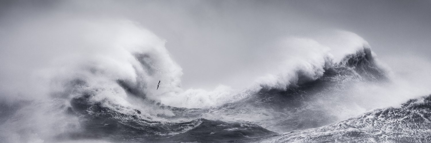 Dan Portch ⭕ banner