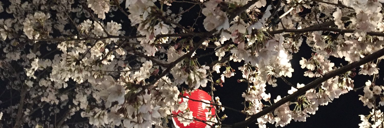 acchabo728's profile banner image