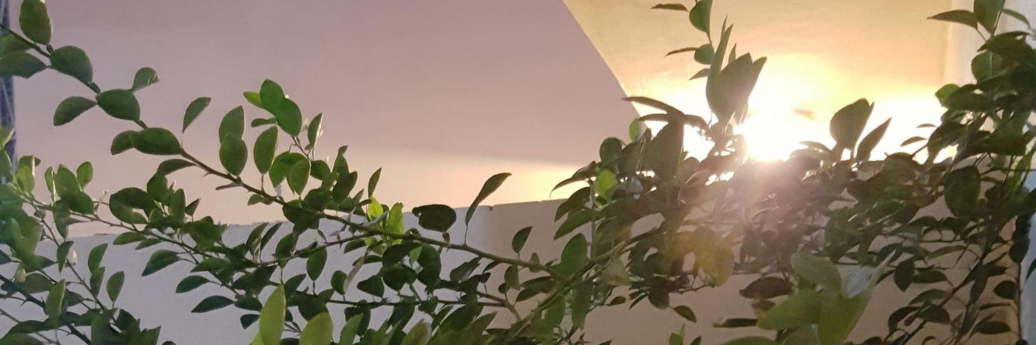 lah12358's profile banner image