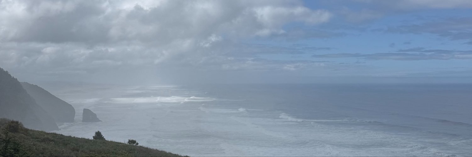 ScatterLess_'s profile banner image