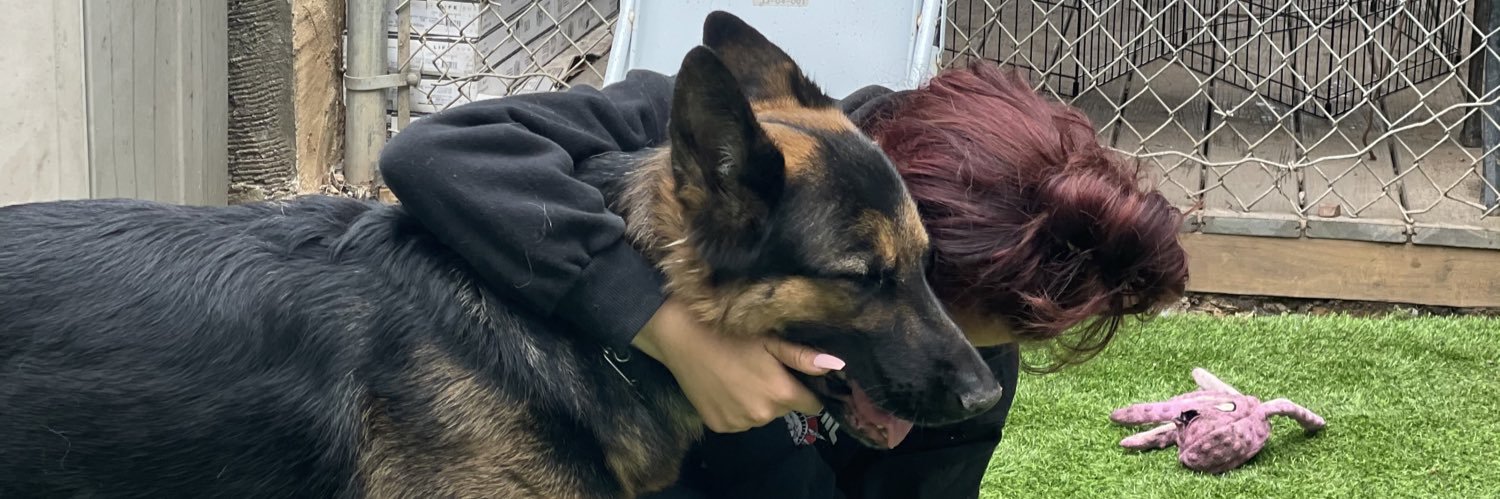 nicoledgiuseppe's profile banner image