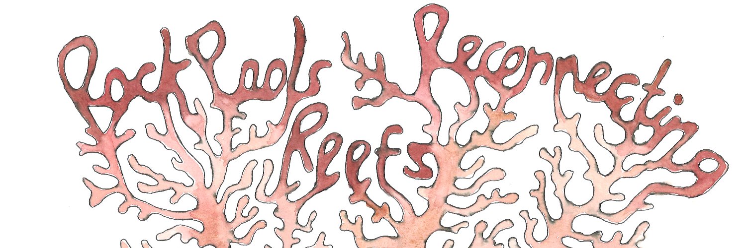 Sid Sea Fest 2021 banner