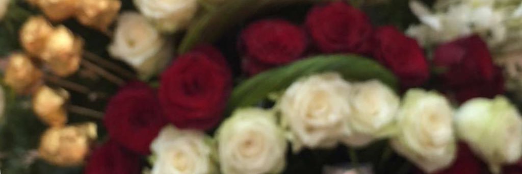 nn19992's profile banner image
