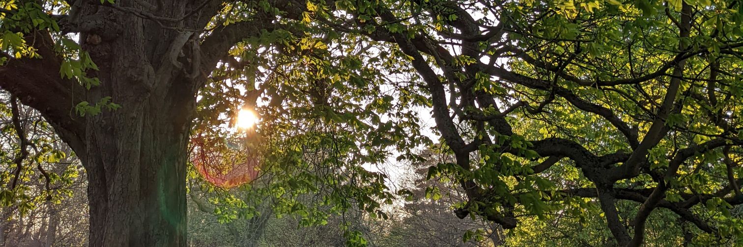 Ingrida Olendraite banner