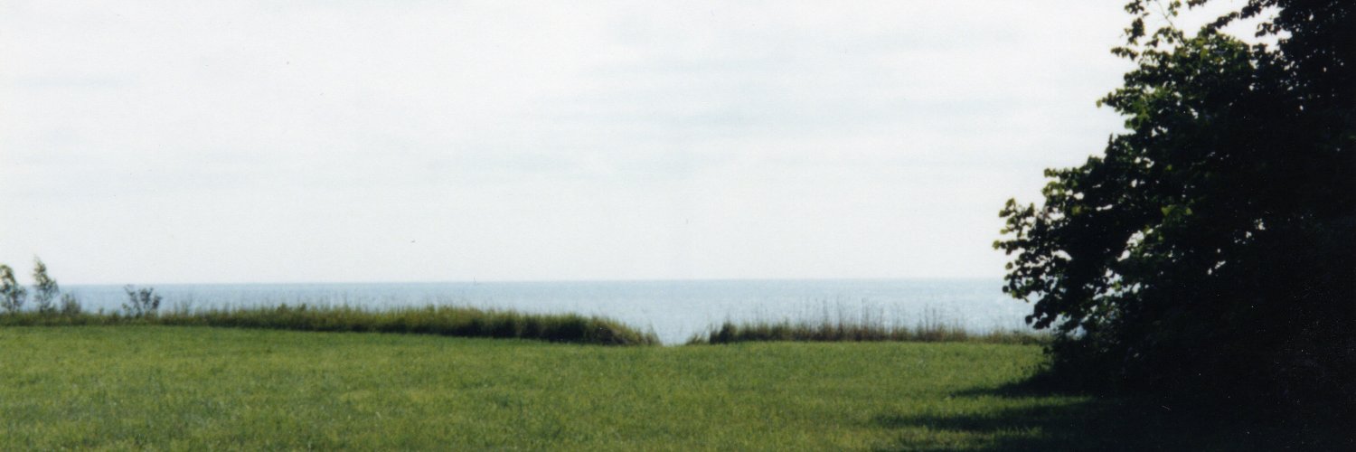 ErikHalfBee's profile banner image