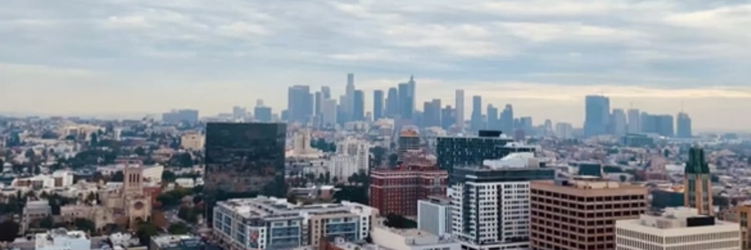 Dr. Lisa H. Wong banner