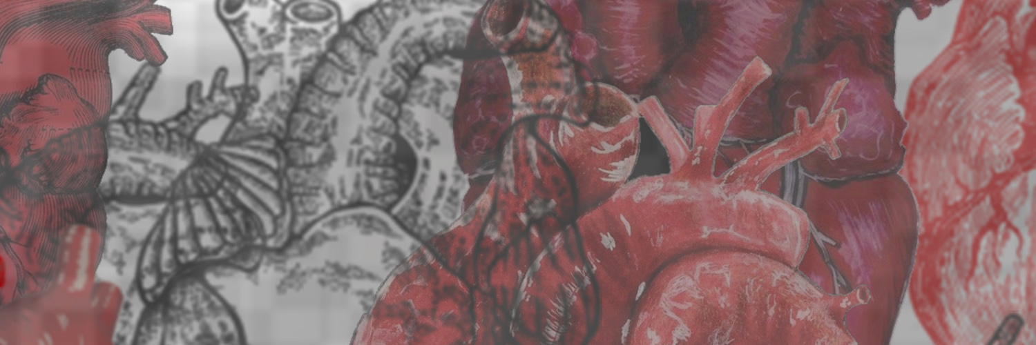 Maya_Simic_'s profile banner image