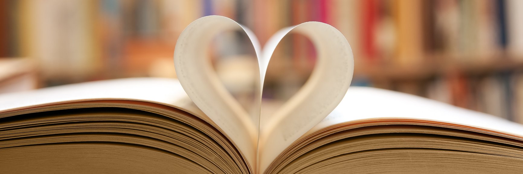 Jenn VanArtsdalen banner