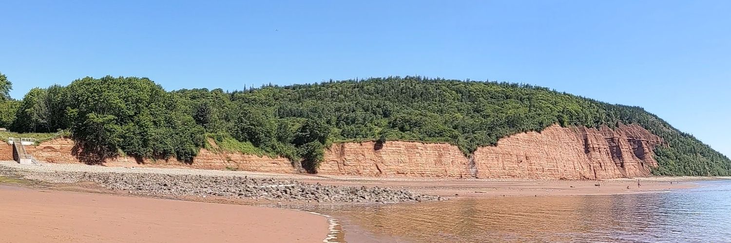 mattychaput's profile banner image