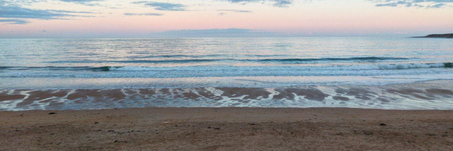 bridawg's profile banner image