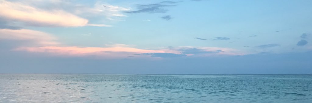 allaya2's profile banner image
