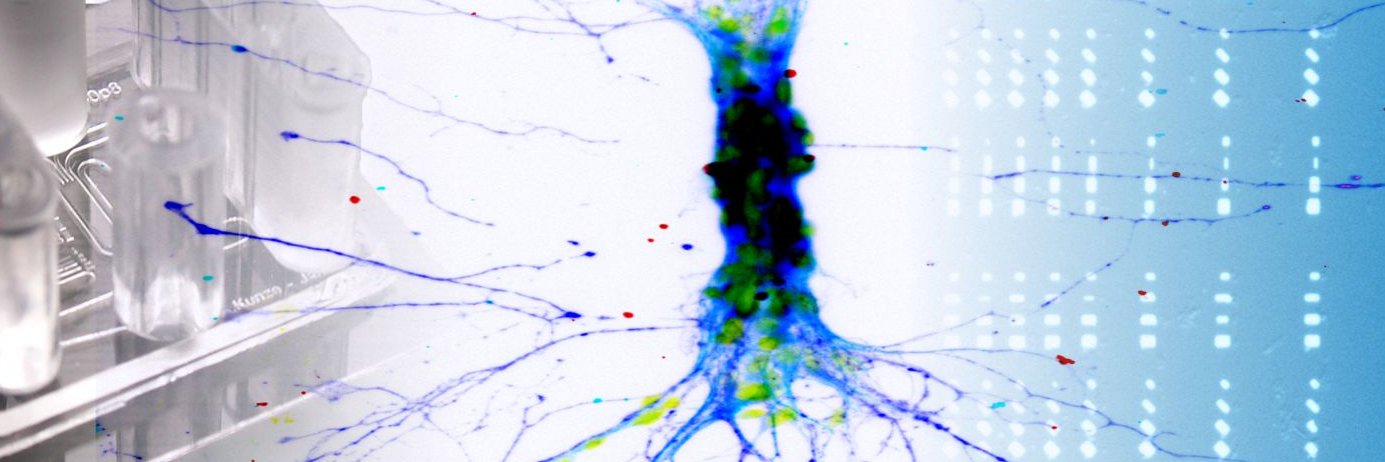 Anja Kunze, Ph.D. banner