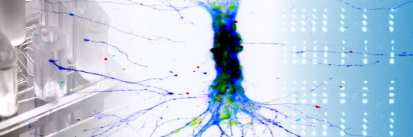 TheKunzeLab Profile Banner