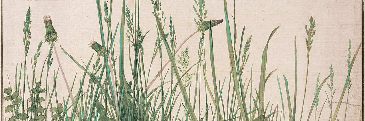 Javier Jiménez banner