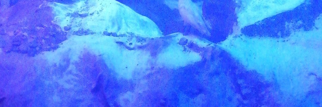 Ros___ASP's profile banner image