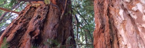 john_hardman's profile banner image