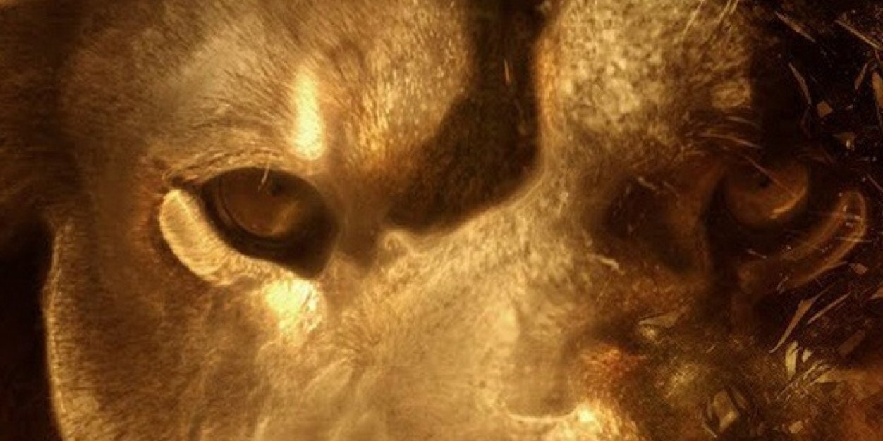 Tmooooise's profile banner image