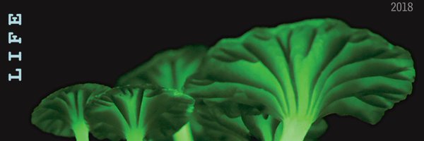 Skiimble Profile Banner