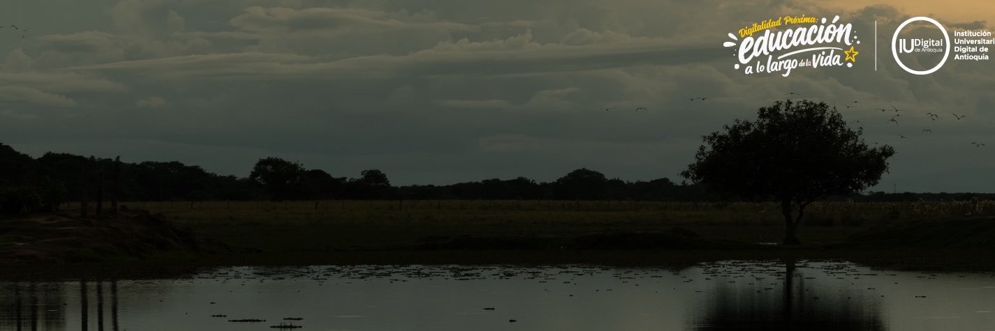 IUDIGITAL's profile banner image