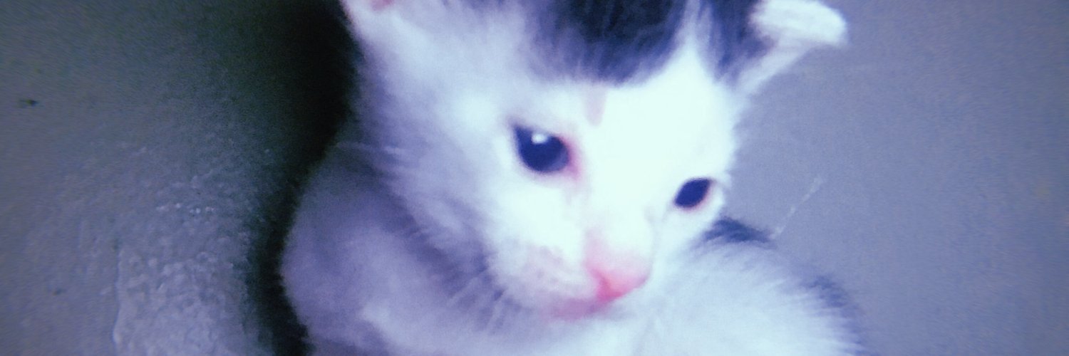 LauraRedz1's profile banner image