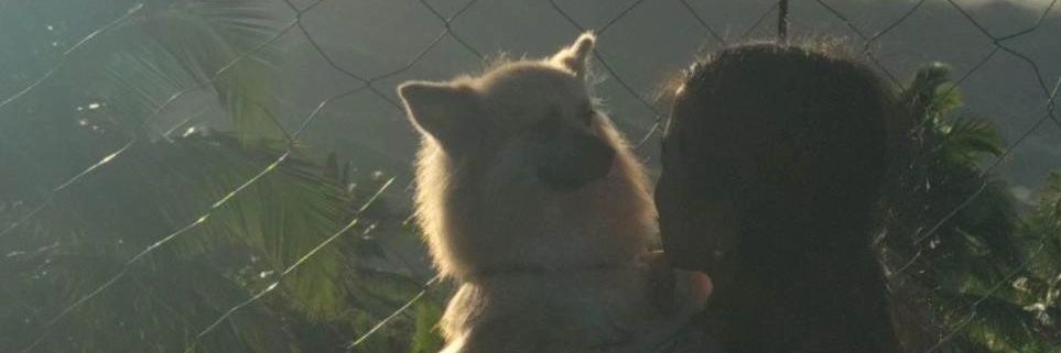 sheyyynaz's profile banner image