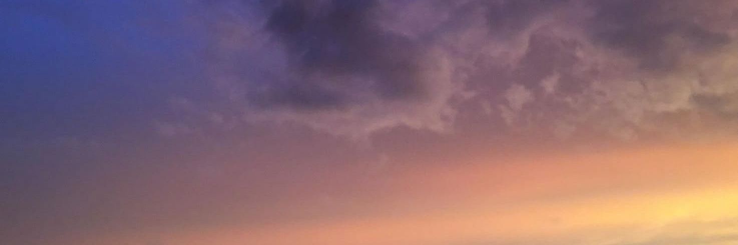pineappwles's profile banner image