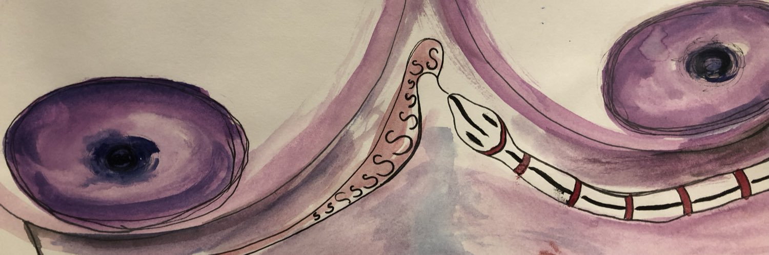 srahbrah's profile banner image