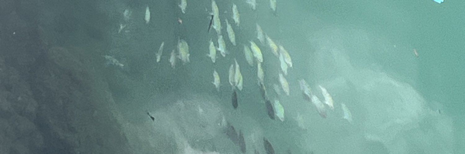 i2polan's profile banner image