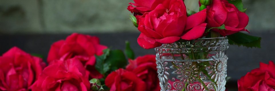 koko345345's profile banner image