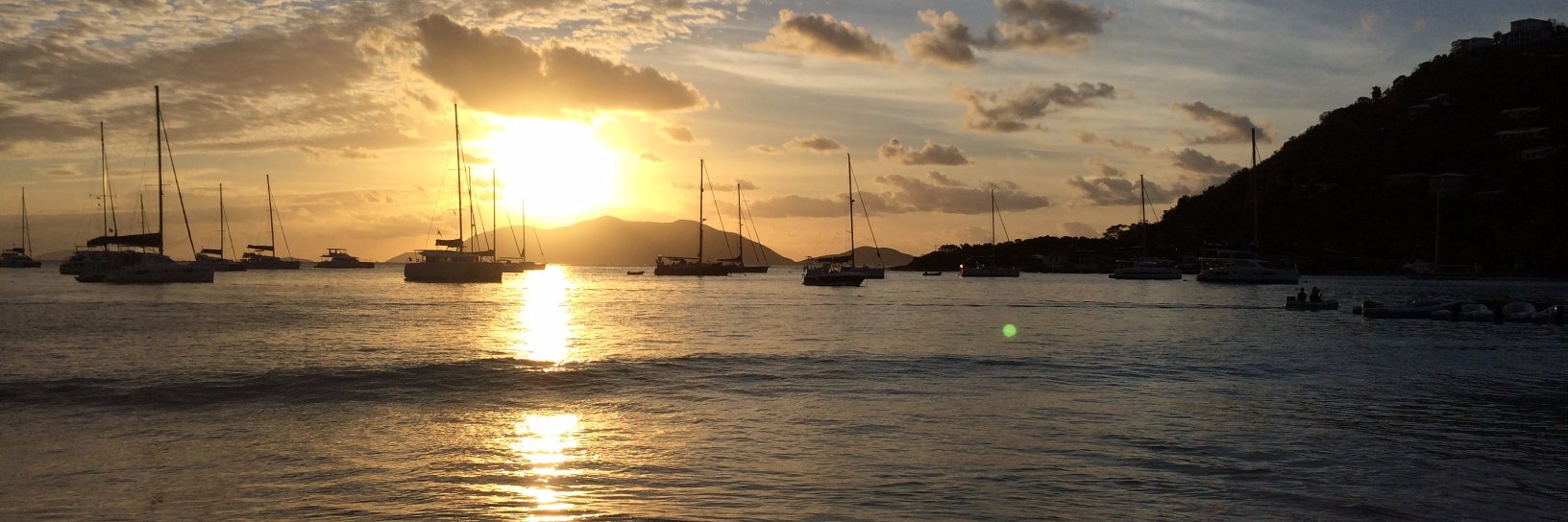 Michael Riley banner