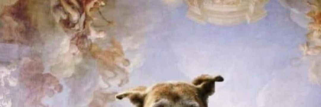 agushermann's profile banner image