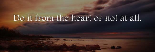 Connie Zimmer banner