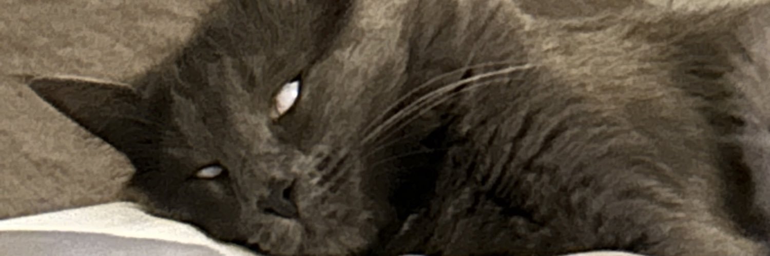 love___nick's profile banner image