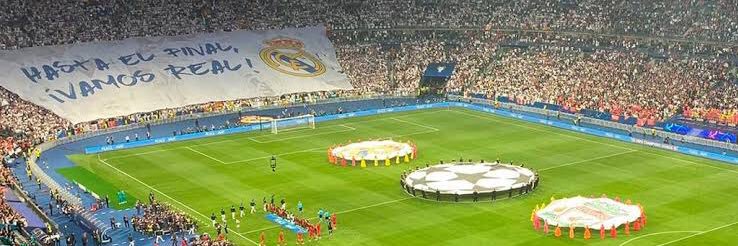 chucholugo's profile banner image